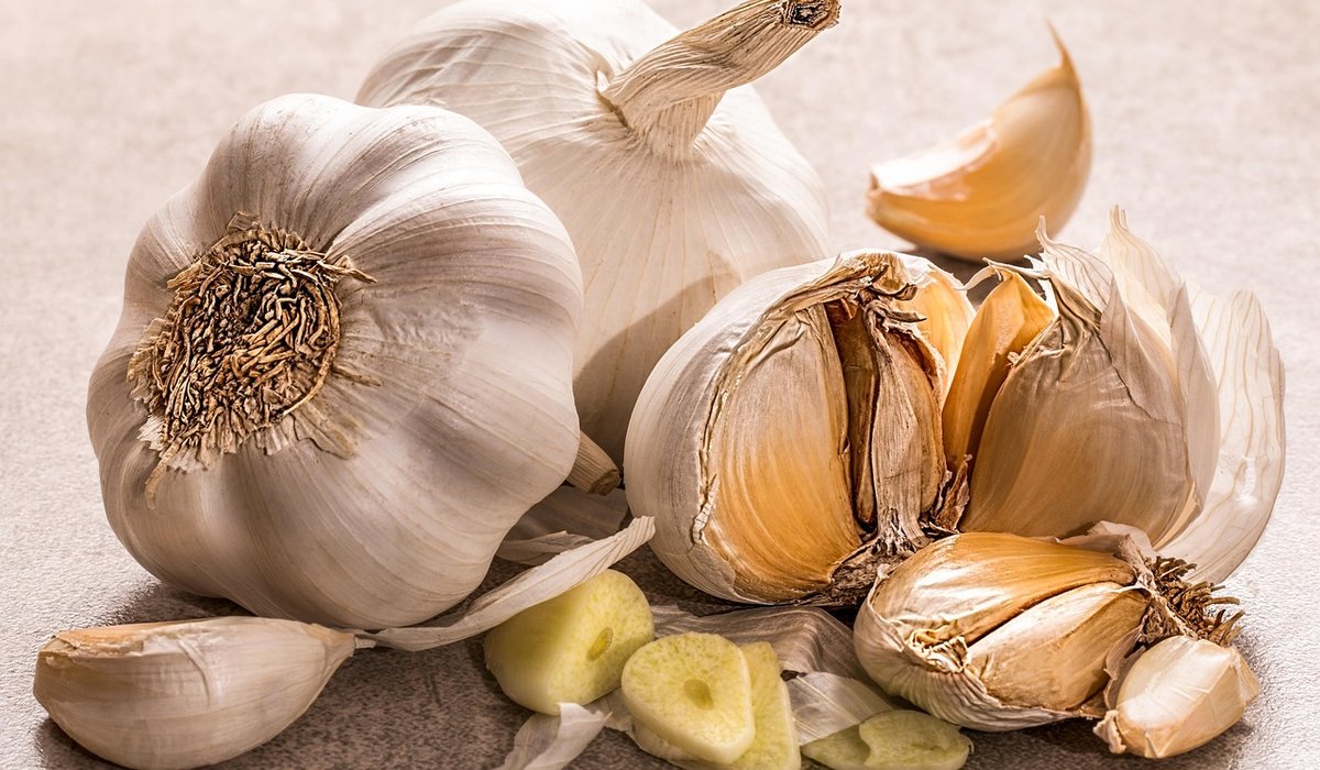 Making a Shopping List That Matches Your Meal Plan