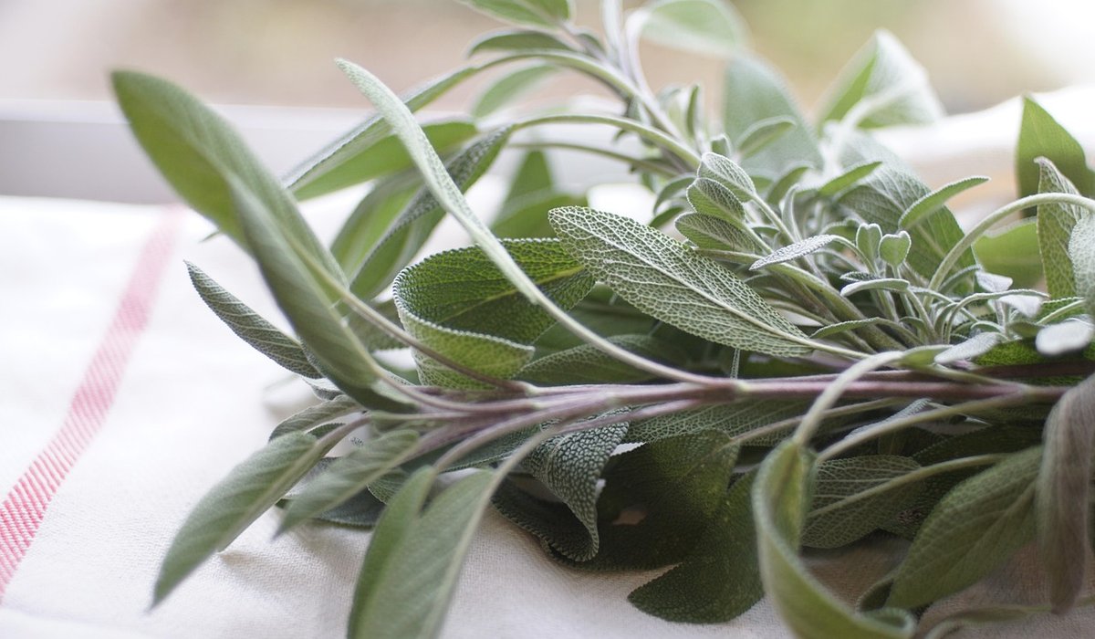 Storing Spices and Dried Herbs for Maximum Flavour